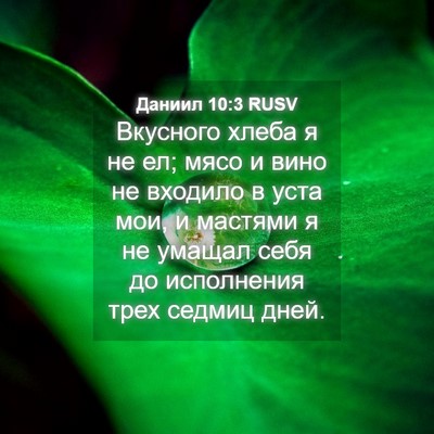 Picture 04 - Даниил 10:3 RUSV - Вкусного хлеба я не ел; - Bible Verse Picture