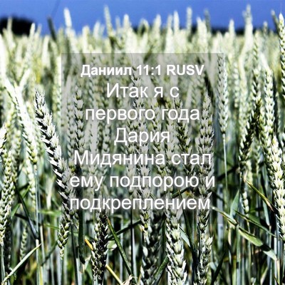Picture 04 - Даниил 11:1 RUSV - Итак я с первого года Дария - Bible Verse Picture