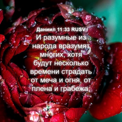 Picture 04 - Даниил 11:33 RUSV - И разумные из народа - Bible Verse Picture