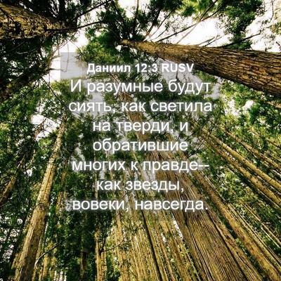 Picture 04 - Даниил 12:3 RUSV - И разумные будут сиять, как - Bible Verse Picture