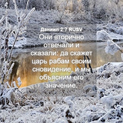 Picture 04 - Даниил 2:7 RUSV - Они вторично отвечали и - Bible Verse Picture