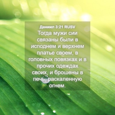 Picture 04 - Даниил 3:21 RUSV - Тогда мужи сии связаны - Bible Verse Picture