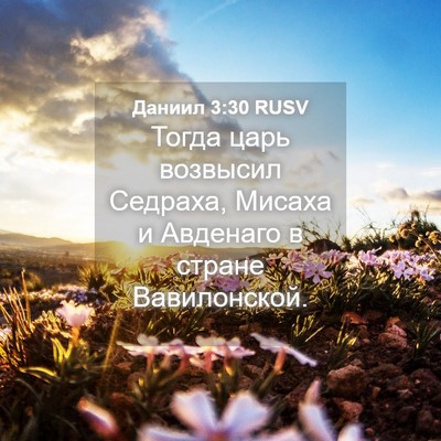 Picture 04 - Даниил 3:30 RUSV - Тогда царь возвысил - Bible Verse Picture