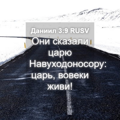 Picture 04 - Даниил 3:9 RUSV - Они сказали царю - Bible Verse Picture