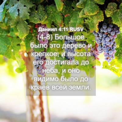 Picture 04 - Даниил 4:11 RUSV - (4-8) Большое было это дерево - Bible Verse Picture
