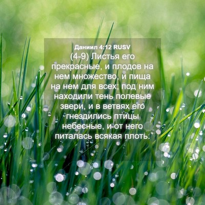 Picture 04 - Даниил 4:12 RUSV - (4-9) Листья его прекрасные, - Bible Verse Picture