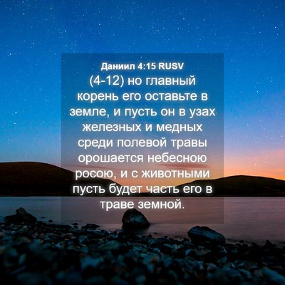 Picture 04 - Даниил 4:15 RUSV - (4-12) но главный корень его - Bible Verse Picture