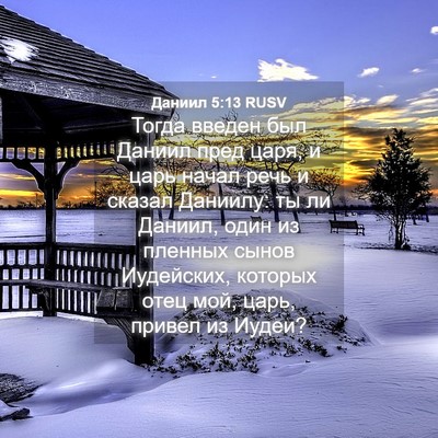 Picture 04 - Даниил 5:13 RUSV - Тогда введен был Даниил - Bible Verse Picture