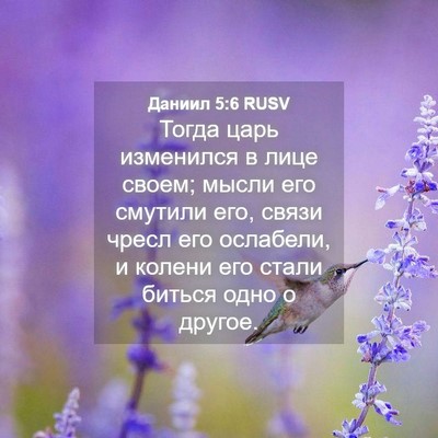 Picture 04 - Даниил 5:6 RUSV - Тогда царь изменился в - Bible Verse Picture