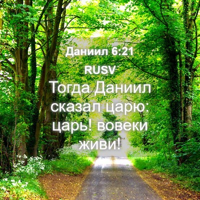 Picture 04 - Даниил 6:21 RUSV - Тогда Даниил сказал царю: - Bible Verse Picture