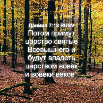 Picture 04 - Даниил 7:18 RUSV - Потом примут царство - Bible Verse Picture