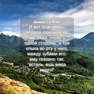 Picture 04 - Даниил 7:5 RUSV - И вот еще зверь, второй, - Bible Verse Picture