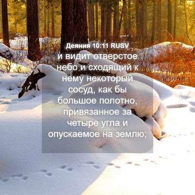 Picture 04 - Деяния 10:11 RUSV - и видит отверстое небо и - Bible Verse Picture