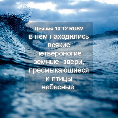 Picture 04 - Деяния 10:12 RUSV - в нем находились всякие - Bible Verse Picture
