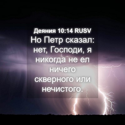 Picture 04 - Деяния 10:14 RUSV - Но Петр сказал: нет, - Bible Verse Picture