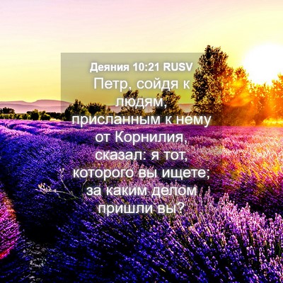 Picture 04 - Деяния 10:21 RUSV - Петр, сойдя к людям, - Bible Verse Picture