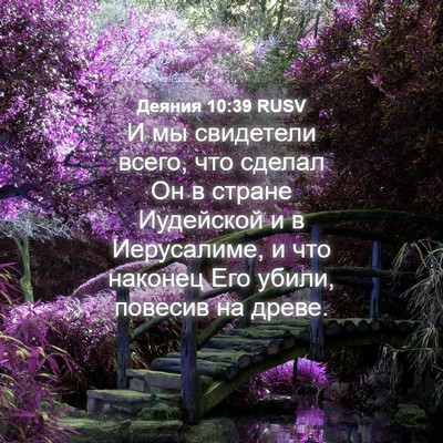 Picture 04 - Деяния 10:39 RUSV - И мы свидетели всего, что - Bible Verse Picture