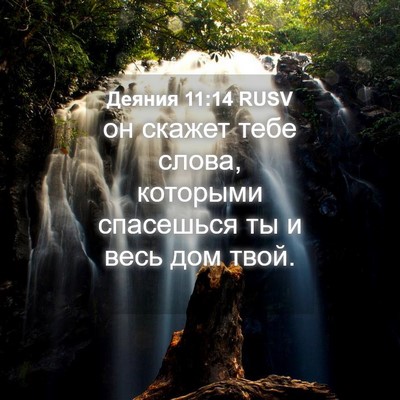 Picture 04 - Деяния 11:14 RUSV - он скажет тебе слова, - Bible Verse Picture