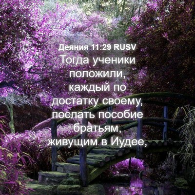 Picture 04 - Деяния 11:29 RUSV - Тогда ученики положили, - Bible Verse Picture
