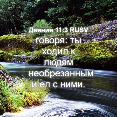Picture 04 - Деяния 11:3 RUSV - говоря: ты ходил к людям - Bible Verse Picture