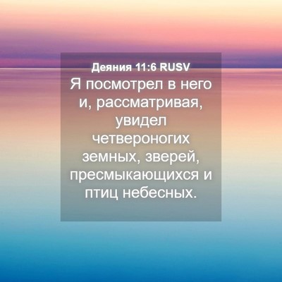 Picture 04 - Деяния 11:6 RUSV - Я посмотрел в него и, - Bible Verse Picture