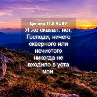 Picture 04 - Деяния 11:8 RUSV - Я же сказал: нет, Господи, - Bible Verse Picture