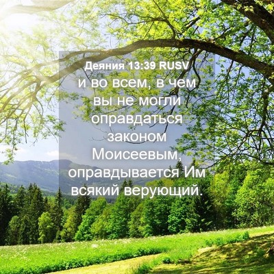 Picture 04 - Деяния 13:39 RUSV - и во всем, в чем вы не могли - Bible Verse Picture