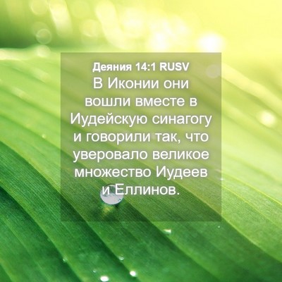 Picture 04 - Деяния 14:1 RUSV - В Иконии они вошли вместе в - Bible Verse Picture