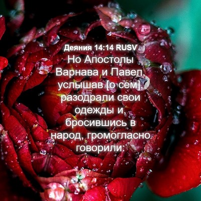 Picture 04 - Деяния 14:14 RUSV - Но Апостолы Варнава и - Bible Verse Picture