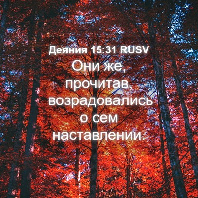 Picture 04 - Деяния 15:31 RUSV - Они же, прочитав, - Bible Verse Picture