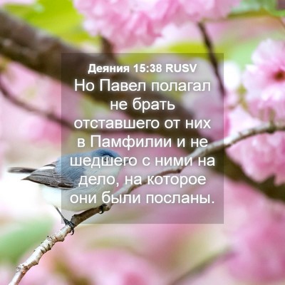 Picture 04 - Деяния 15:38 RUSV - Но Павел полагал не брать - Bible Verse Picture