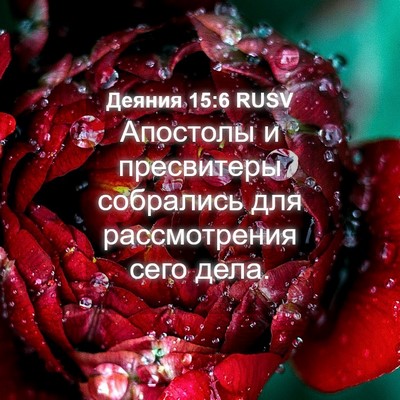 Picture 04 - Деяния 15:6 RUSV - Апостолы и пресвитеры - Bible Verse Picture