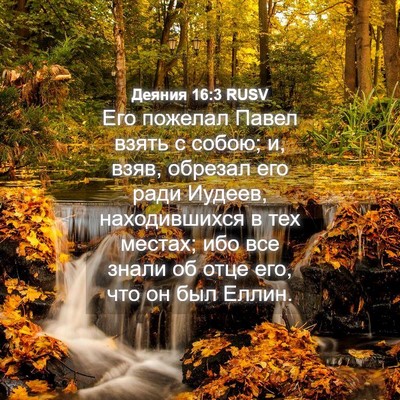 Picture 04 - Деяния 16:3 RUSV - Его пожелал Павел взять с - Bible Verse Picture