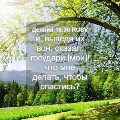 Picture 04 - Деяния 16:30 RUSV - и, выведя их вон, сказал: - Bible Verse Picture