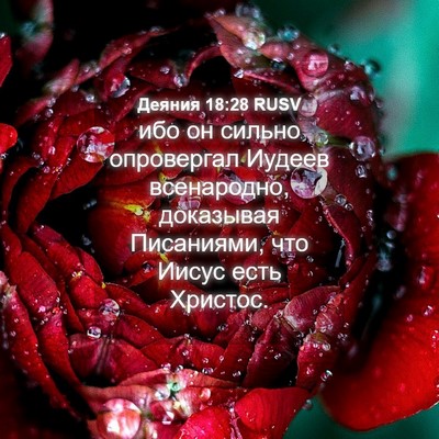 Picture 04 - Деяния 18:28 RUSV - ибо он сильно опровергал - Bible Verse Picture