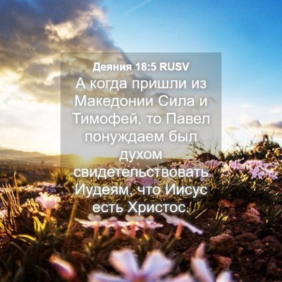 Picture 04 - Деяния 18:5 RUSV - А когда пришли из - Bible Verse Picture