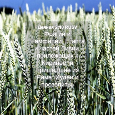 Picture 04 - Деяния 2:10 RUSV - Фригии и Памфилии, Египта и - Bible Verse Picture