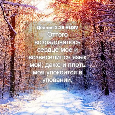 Picture 04 - Деяния 2:26 RUSV - Оттого возрадовалось - Bible Verse Picture