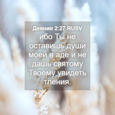 Picture 04 - Деяния 2:27 RUSV - ибо Ты не оставишь души - Bible Verse Picture
