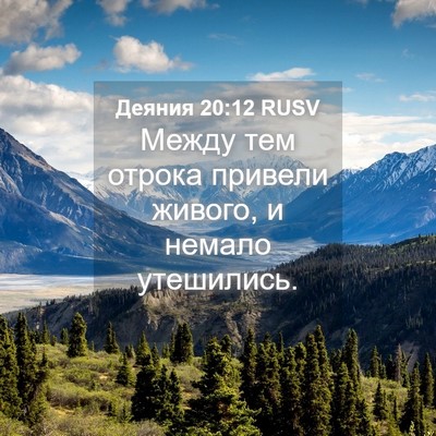 Picture 04 - Деяния 20:12 RUSV - Между тем отрока привели - Bible Verse Picture