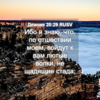Picture 04 - Деяния 20:29 RUSV - Ибо я знаю, что, по - Bible Verse Picture