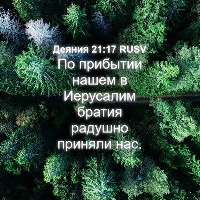 Picture 04 - Деяния 21:17 RUSV - По прибытии нашем в - Bible Verse Picture