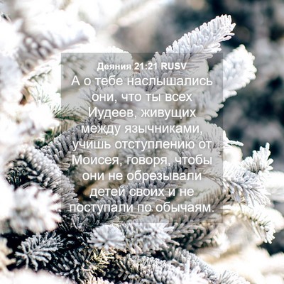 Picture 04 - Деяния 21:21 RUSV - А о тебе наслышались они, - Bible Verse Picture