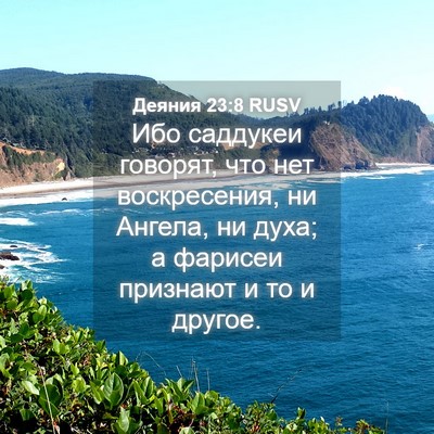 Picture 04 - Деяния 23:8 RUSV - Ибо саддукеи говорят, что - Bible Verse Picture