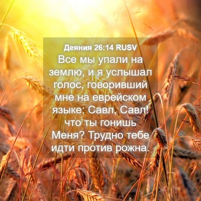 Picture 04 - Деяния 26:14 RUSV - Все мы упали на землю, и я - Bible Verse Picture