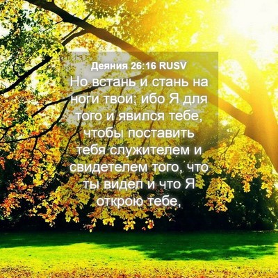 Picture 04 - Деяния 26:16 RUSV - Но встань и стань на ноги - Bible Verse Picture
