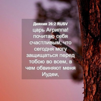 Picture 04 - Деяния 26:2 RUSV - царь Агриппа! почитаю себя - Bible Verse Picture