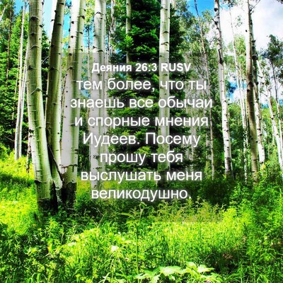 Picture 04 - Деяния 26:3 RUSV - тем более, что ты знаешь - Bible Verse Picture