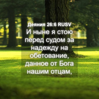 Picture 04 - Деяния 26:6 RUSV - И ныне я стою перед судом - Bible Verse Picture