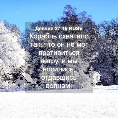 Picture 04 - Деяния 27:15 RUSV - Корабль схватило так, что - Bible Verse Picture